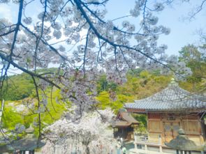 第一站：上贺茂神社