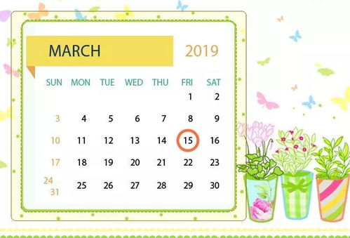 2019年8月1日黄历和2026年日历黄历本，哪一年的黄历更详细呢？