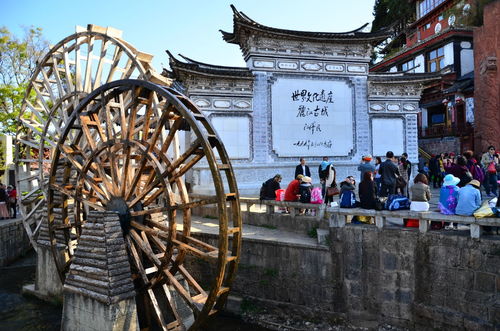 出行攻略：嘉定之旅，轻松起步
