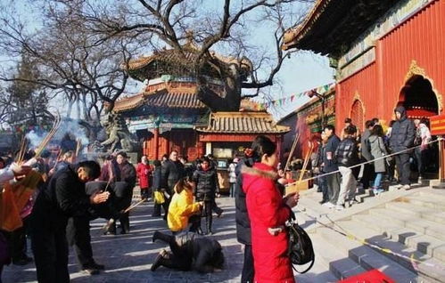 春节广州行：一场与历史的邂逅