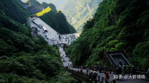 交通攻略大揭秘！99%的人都不知道的省钱妙招