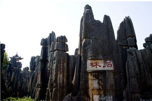 石林：石头精的陷阱