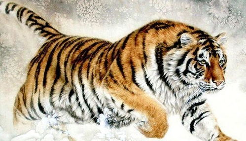 双属虎，2026年4月15日运势大揭秘？贵人助力，财运飙升！