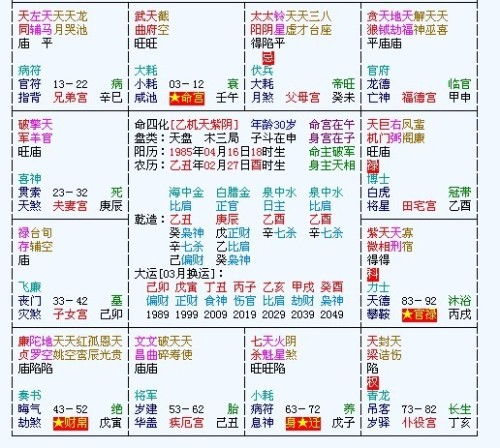 (2) 最主要星曜入哪些宫位——决定沉重点领域