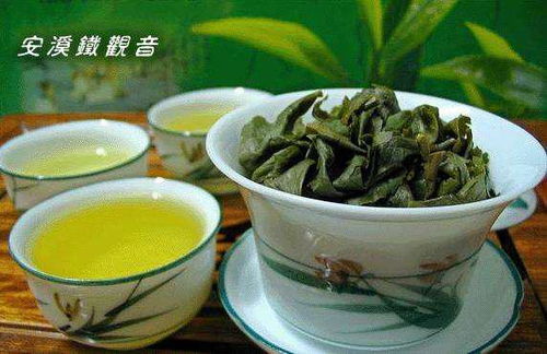 观音显灵：天降奇迹般的茶树