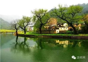 惯与龙桥活水的吐槽
