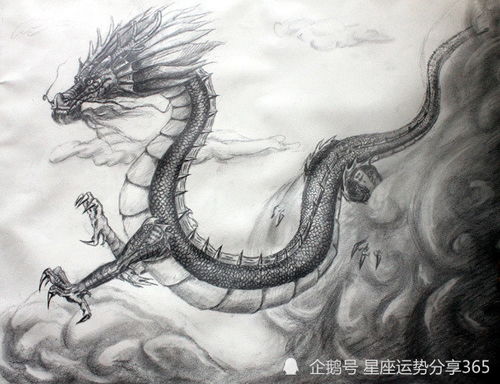 不同年份属龙的人更多较大年纪了