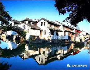 春天来了！泰州在召唤我的心啊！！！