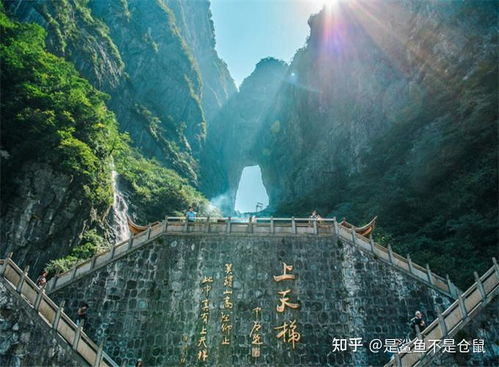 张家界五日亲子游攻略，  新鲜手必看收藏爆款