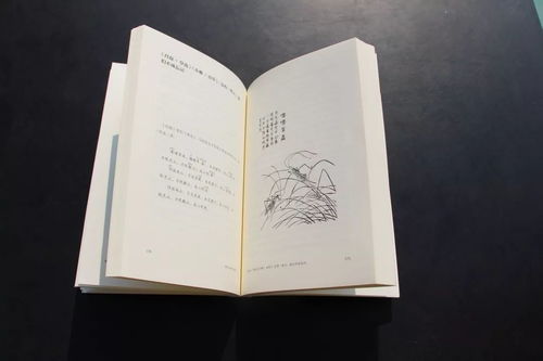 通过诗经中的名字体现文化底蕴的较深远与魅力