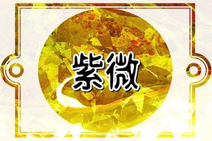 紫微斗数天同星坐卯酉命：2026年运势大揭秘！