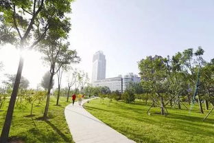 太原西峰村城中村改造,太原西峰村风水如何