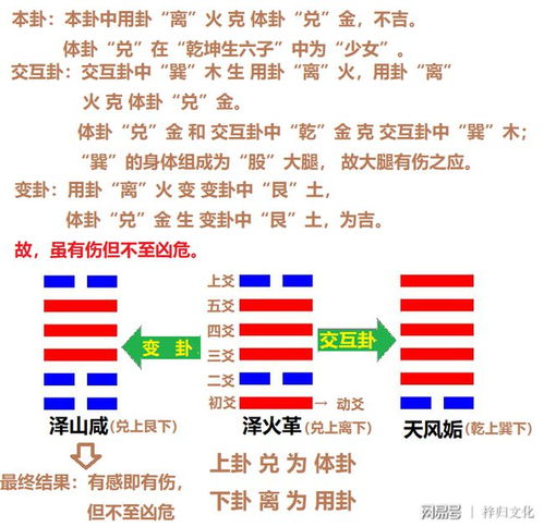 梅花易数卦如何根据卦象判断吉凶，提供详尽的梅花解卦吉凶详解大全？