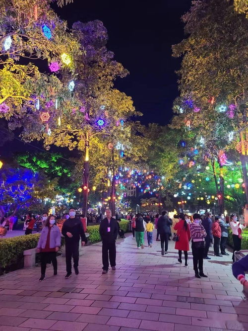 灯会开场：谁说夜晚没颜色？