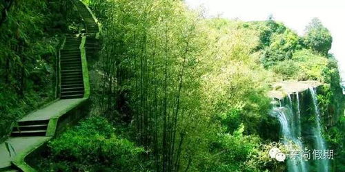 一、踏入竹海——第一眼的冲击