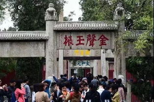 阶段性免费开放