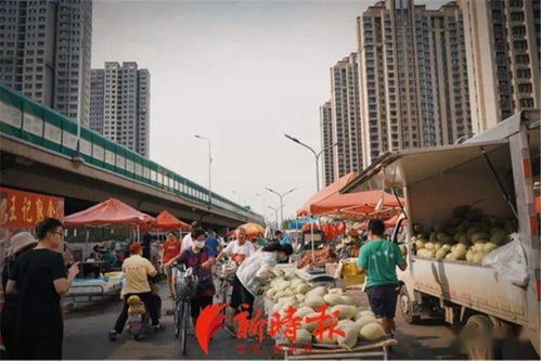 生活气息：早市与公园的烟火交响，  磨蹭节奏的逆袭