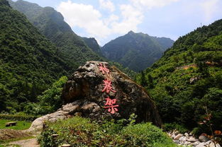 美得冒泡VS坑得吐血