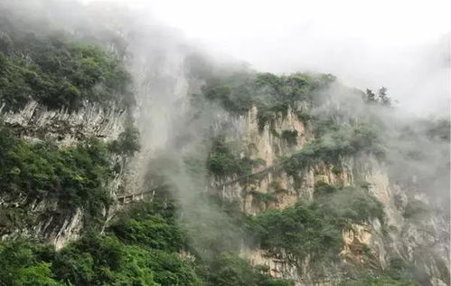 九皇山的悬崖帐篷：勇士的选择
