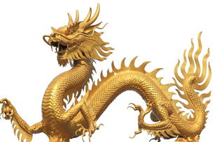 八、属马—奔腾还是摔跤？