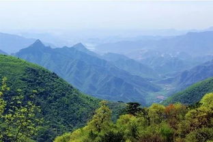 一、 阳台山概述——“花”与“山”的不靠谱组合