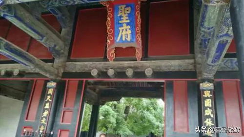 探秘太康， 开启春日亲子之旅