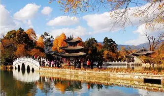 纳西古乐：穿越时空的文化底蕴之旅