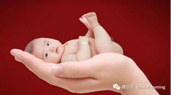 一、先抛砖引玉——乱七八糟的起名原则（根本不存在）