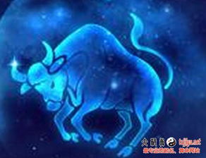 太极鱼起名：从