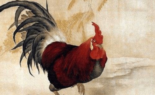 生肖鸡：精明能干， 清醒规划人生，不为儿女情长所困