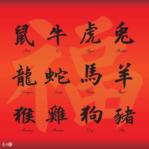 八字喜木的人改写四柱喜火是否合适？
