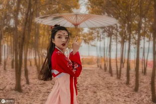古代生存指南：这些星座女能把宫斗剧演成喜剧