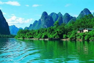 五、赏花之旅，邂逅春日浪漫（花粉过敏慎入）