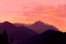 电白东水山旅游攻略,电白水东有什么景点