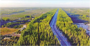 阿克苏黑子乡旅游攻略：一场充满惊喜(惊吓)的荒诞冒险