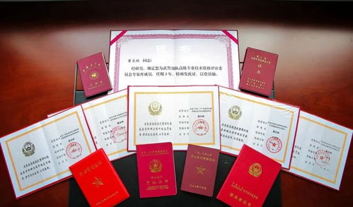 医疗服务旅行胜地：你的签证与机遇