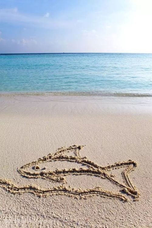 梅沙海滨一日游，嫩邂逅海风好时光吗？