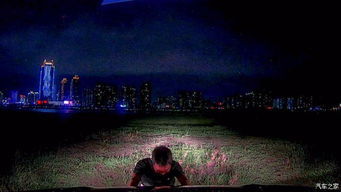 鼠辈与过去的粮食