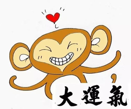 属狗的癸亥月戊申日五行缺什么对运势有影响？