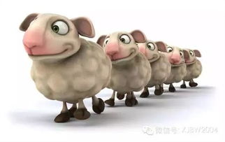 五行与生肖相配