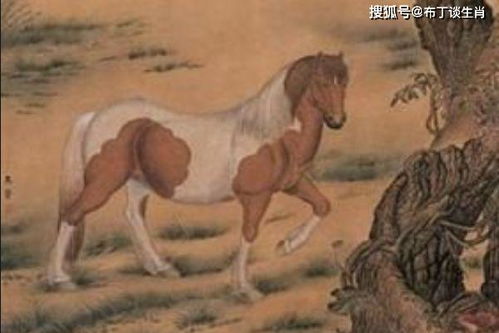 将青云直上打一生肖，是哪个生肖？