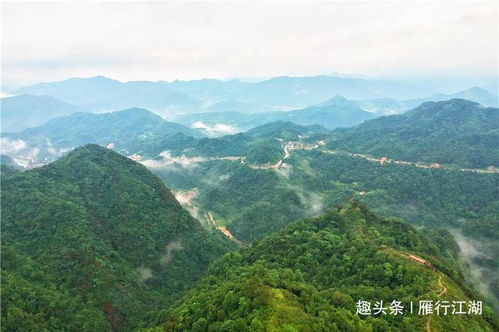 四、 实地探险日志（半烂半真）