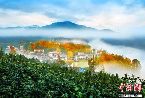 红叶指南：仙境般的风景