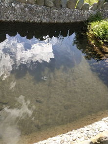 惯与那些传说和故事