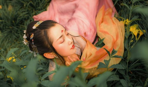 生肖与方位：谁该躲在哪？