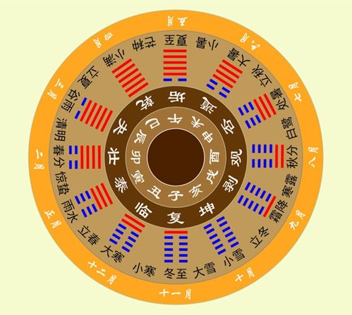 八字中十二星官分别代表什么含义？