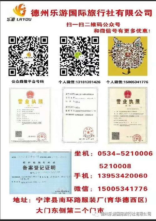 1.1 什么是“夕阳红”——其实就是把老年人的日常搬到海边