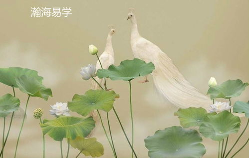 我的八字里食神是什么意思，如何查找八字中的食神？