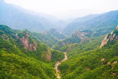 揭秘贵州旅游卖玉骗局：商家的责任与义务