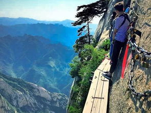 华山索道惊魂记：2026年最新恐怖体验